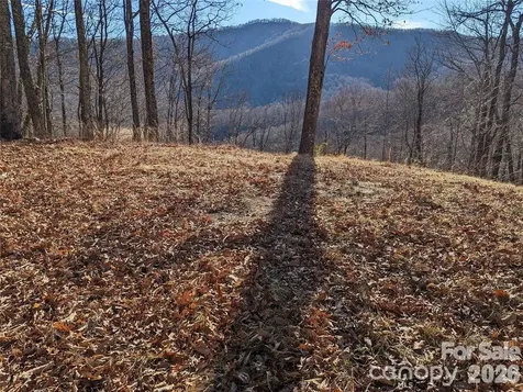 367 Kestrel Lane Black Mountain NC 28711