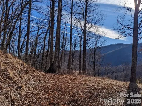 367 Kestrel Lane Black Mountain NC 28711