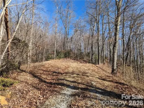 367 Kestrel Lane Black Mountain NC 28711