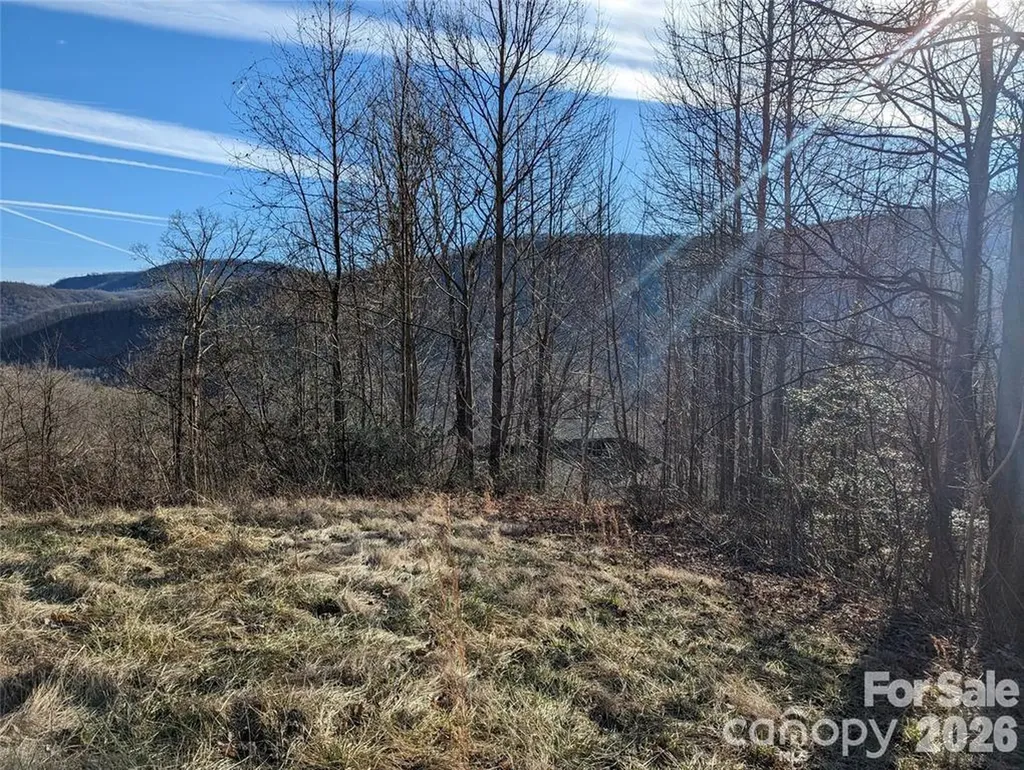117 Ironwood Lane Black Mountain NC 28711