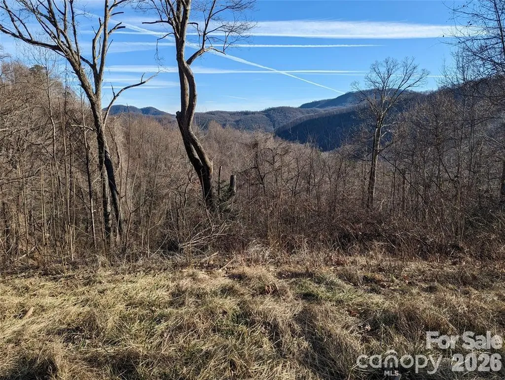 117 Ironwood Lane Black Mountain NC 28711