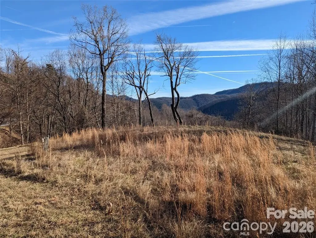 117 Ironwood Lane Black Mountain NC 28711