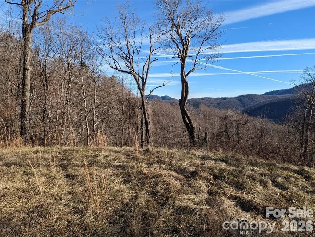 117 Ironwood Lane Black Mountain NC 28711
