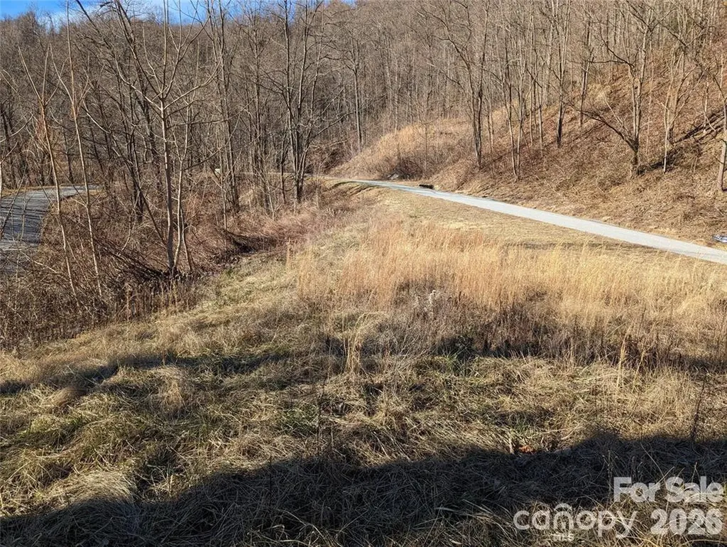 117 Ironwood Lane Black Mountain NC 28711
