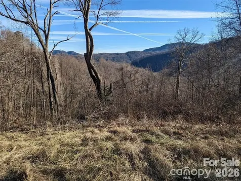 117 Ironwood Lane Black Mountain NC 28711