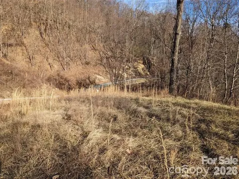 117 Ironwood Lane Black Mountain NC 28711