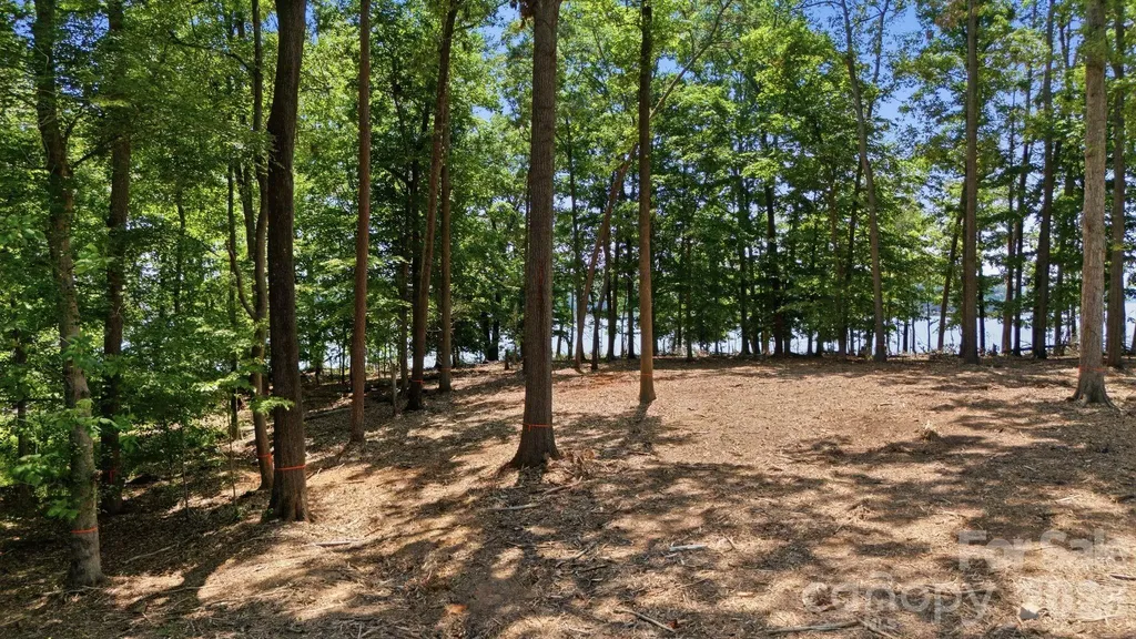 268 Kendricks Cove Lexington NC 27292