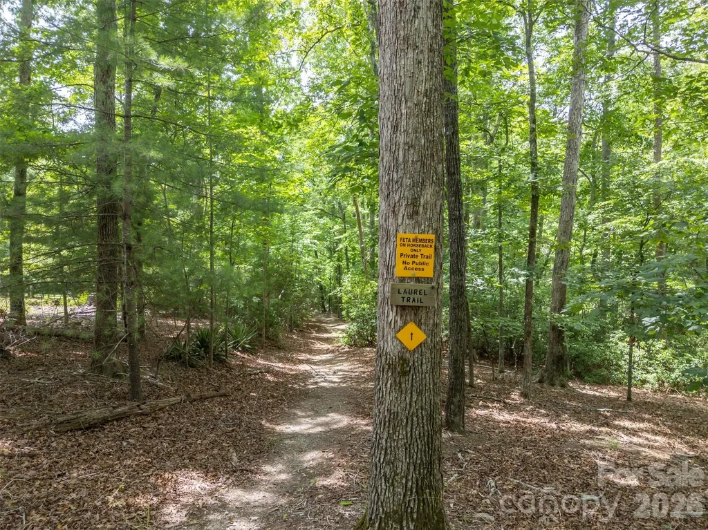441 Lower Ridgeview Road Columbus NC 28722