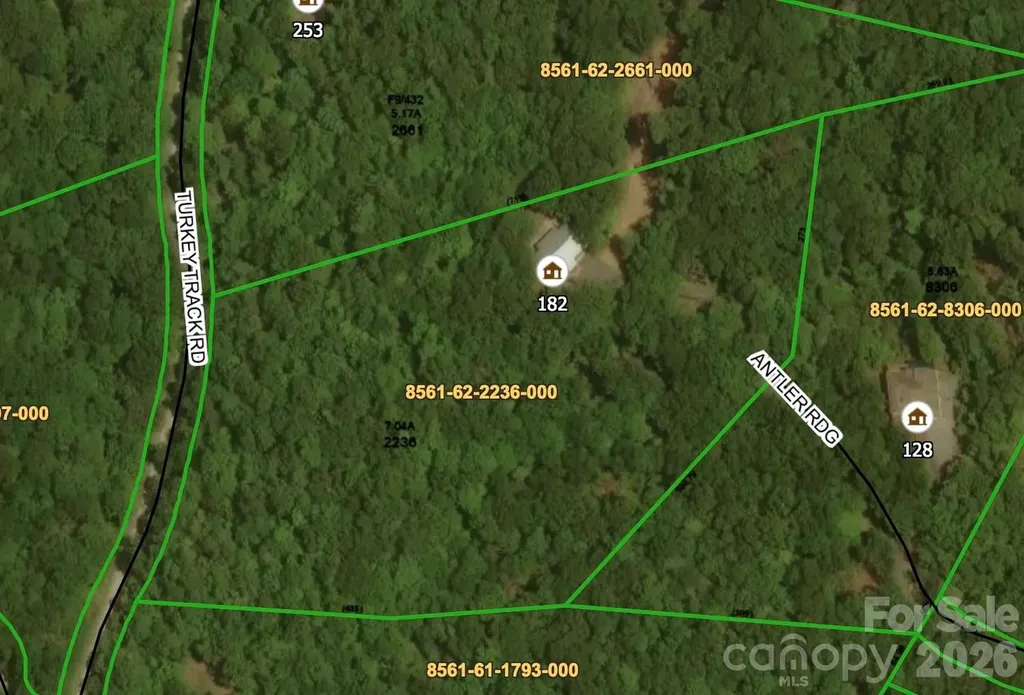 182 Antler Ridge Rosman NC 28772