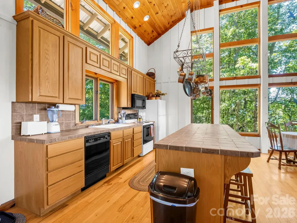 182 Antler Ridge Rosman NC 28772