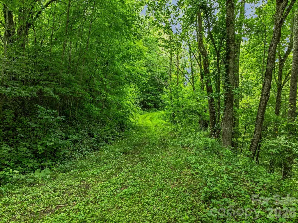 961 Wilson Branch Road Mars Hill NC 28754