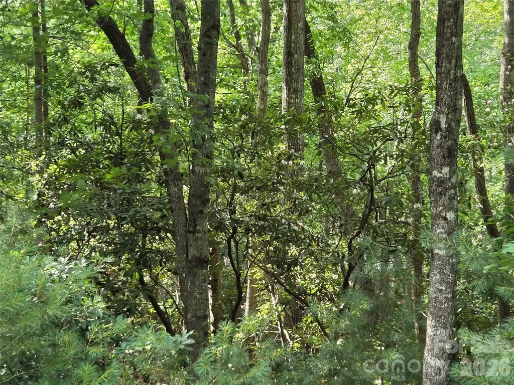 27 Dividing Ridge Trail Arden NC 28704