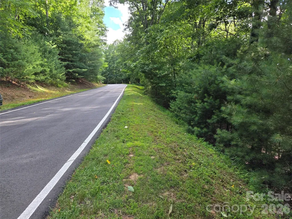 27 Dividing Ridge Trail Arden NC 28704