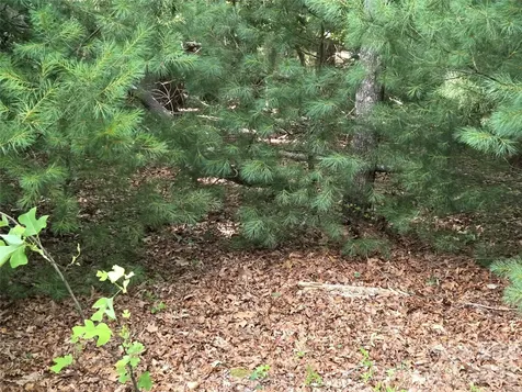 27 Dividing Ridge Trail Arden NC 28704