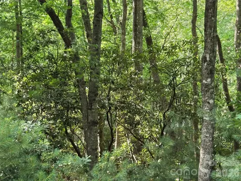 27 Dividing Ridge Trail Arden NC 28704