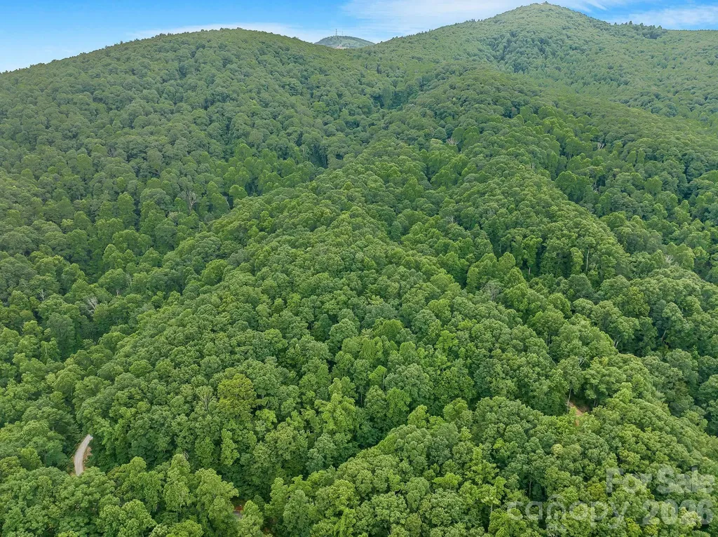 8 Carls Cove Road Black Mountain NC 28711