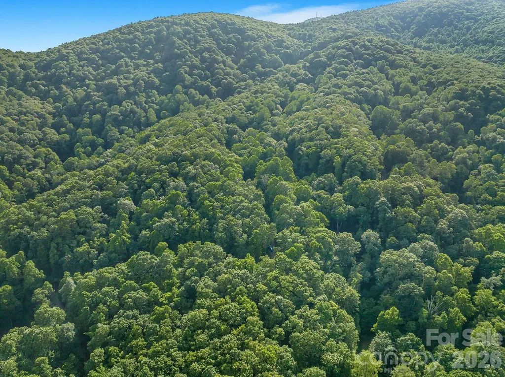 8 Carls Cove Road Black Mountain NC 28711