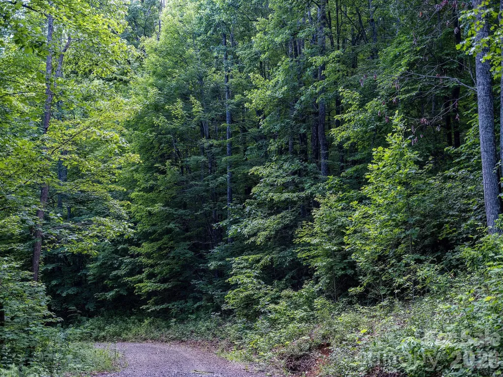 8 Carls Cove Road Black Mountain NC 28711