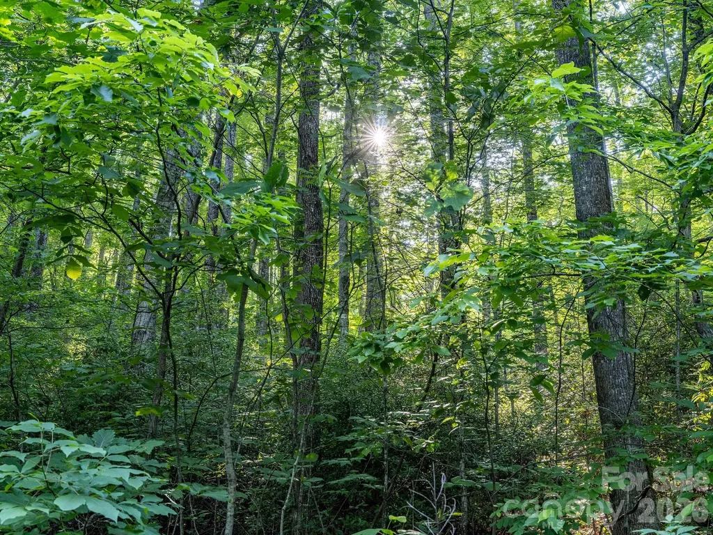8 Carls Cove Road Black Mountain NC 28711