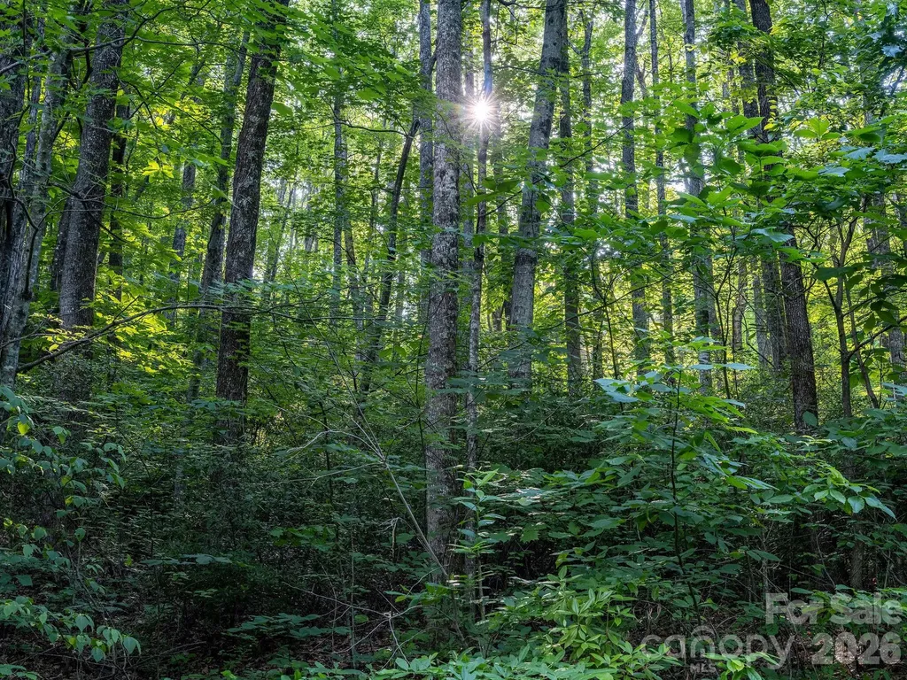 8 Carls Cove Road Black Mountain NC 28711