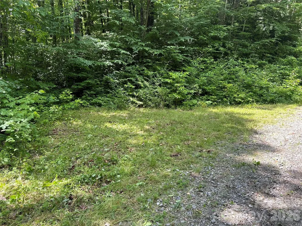 8 Carls Cove Road Black Mountain NC 28711