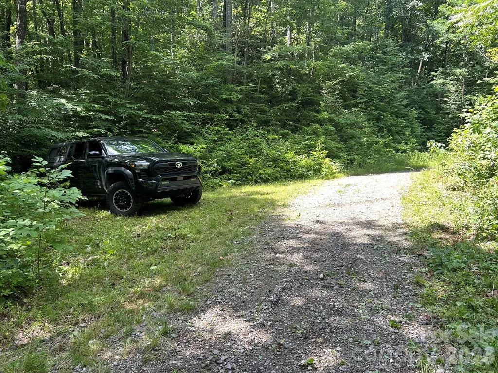 8 Carls Cove Road Black Mountain NC 28711