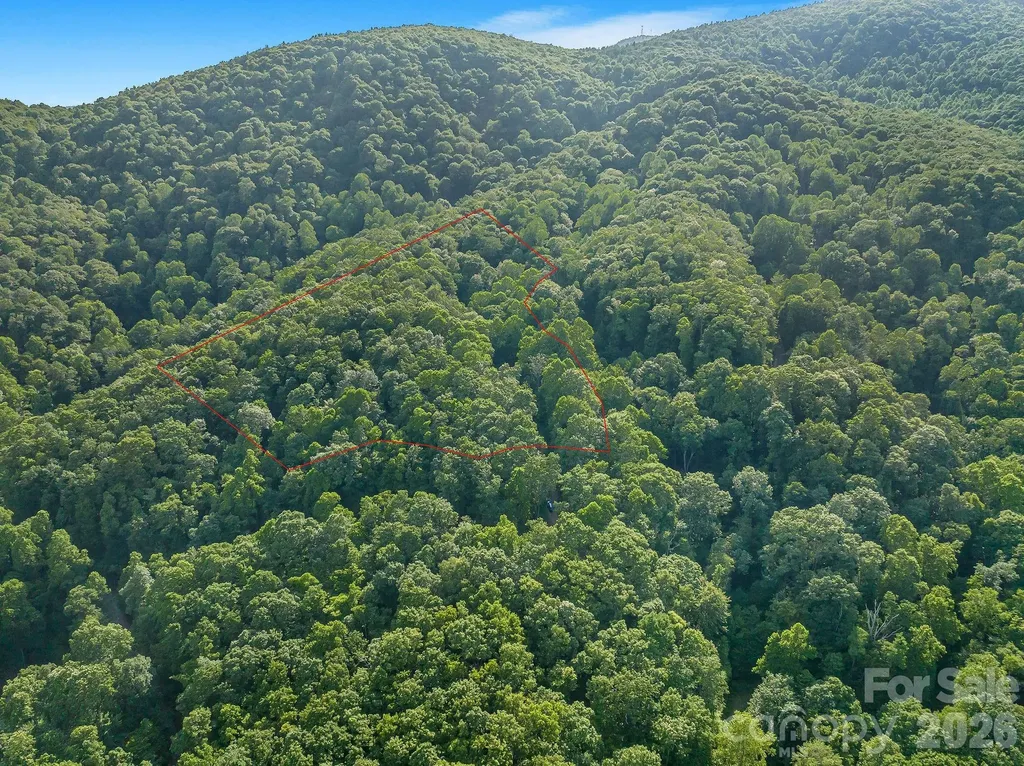 8 Carls Cove Road Black Mountain NC 28711
