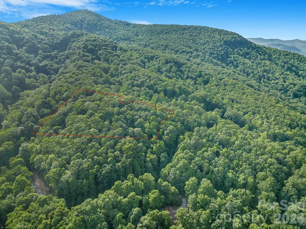 8 Carls Cove Road Black Mountain NC 28711