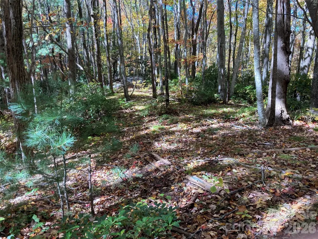 8 Carls Cove Road Black Mountain NC 28711