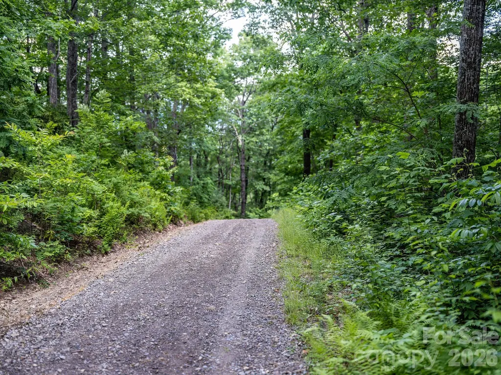 8 Carls Cove Road Black Mountain NC 28711
