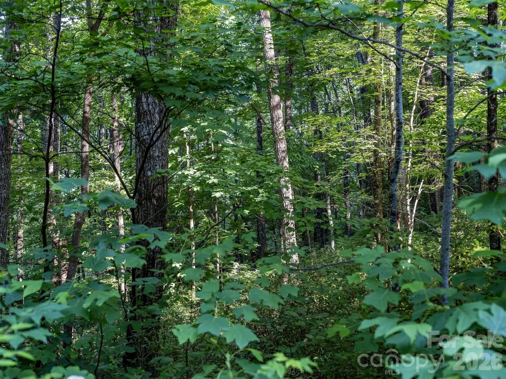 8 Carls Cove Road Black Mountain NC 28711