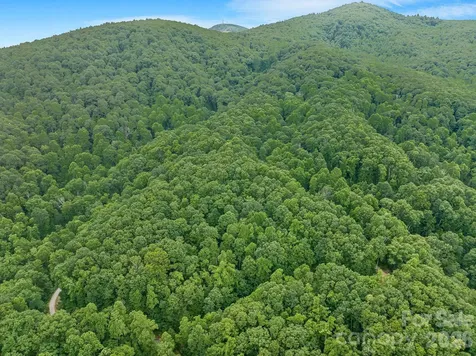 8 Carls Cove Road Black Mountain NC 28711