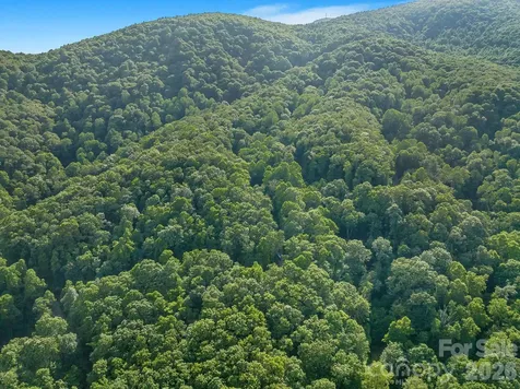 8 Carls Cove Road Black Mountain NC 28711