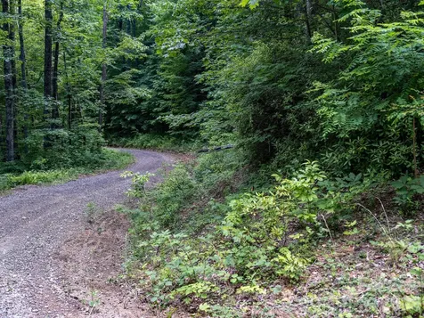 8 Carls Cove Road Black Mountain NC 28711