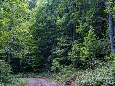 8 Carls Cove Road Black Mountain NC 28711