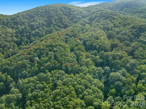 8 Carls Cove Road Black Mountain NC 28711