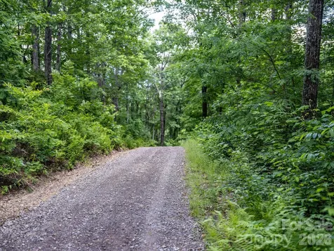 8 Carls Cove Road Black Mountain NC 28711