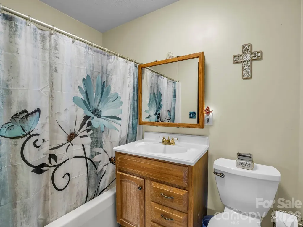 1025 Jeter Mountain Road Penrose NC 28766