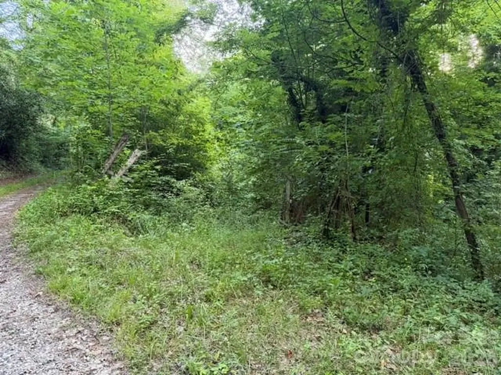00 Heavenly View Drive Sylva NC 28779