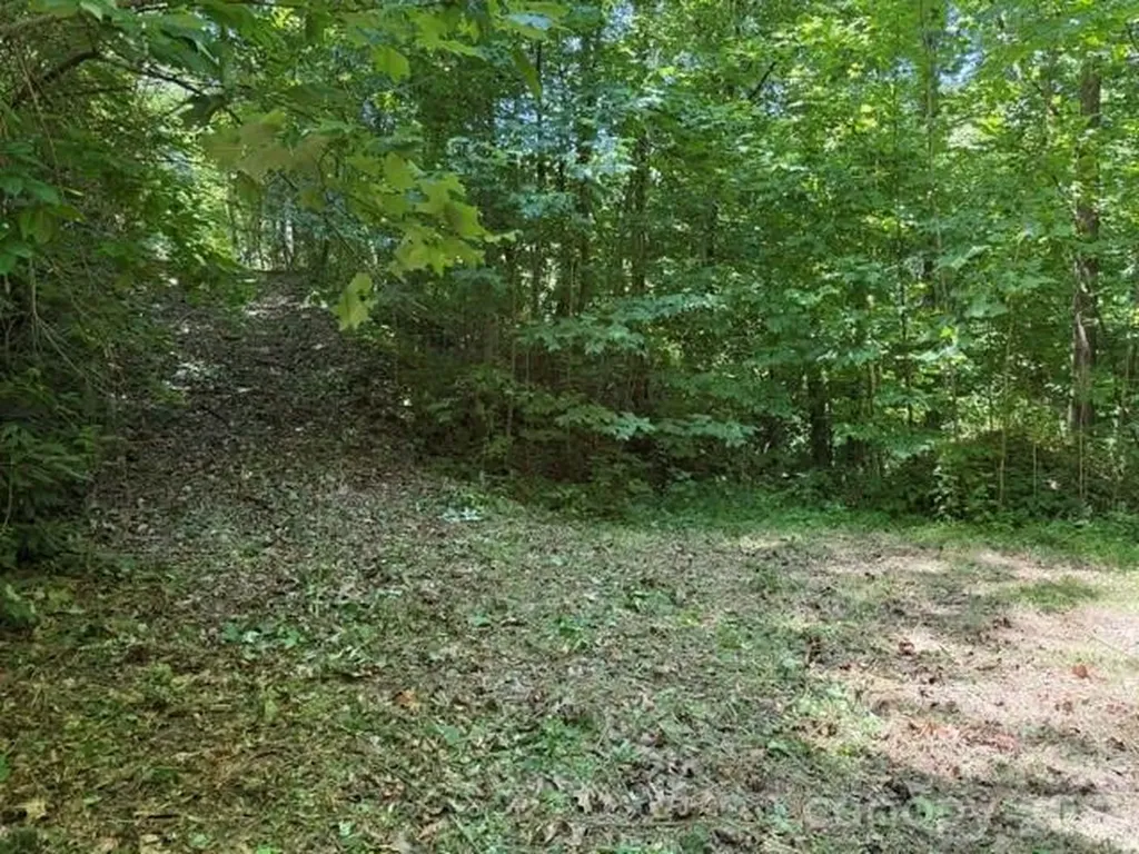 00 Heavenly View Drive Sylva NC 28779