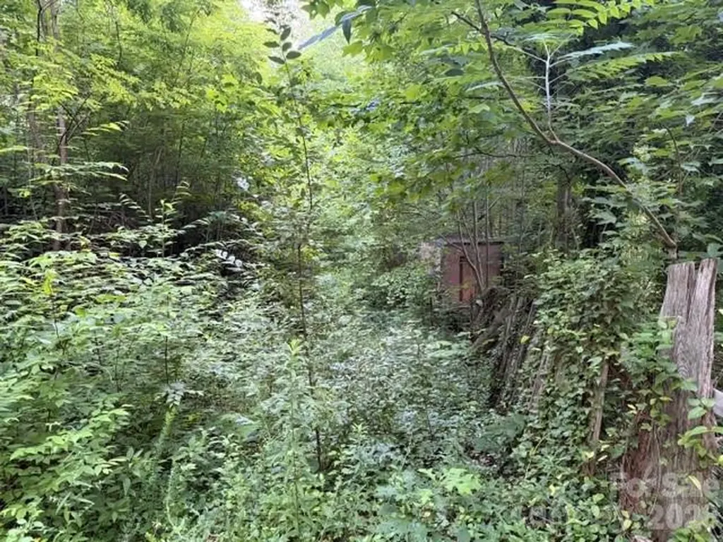 00 Heavenly View Drive Sylva NC 28779