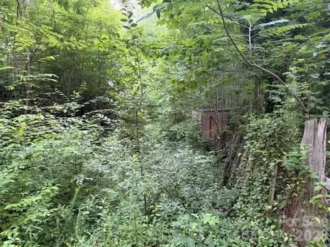 00 Heavenly View Drive Sylva NC 28779