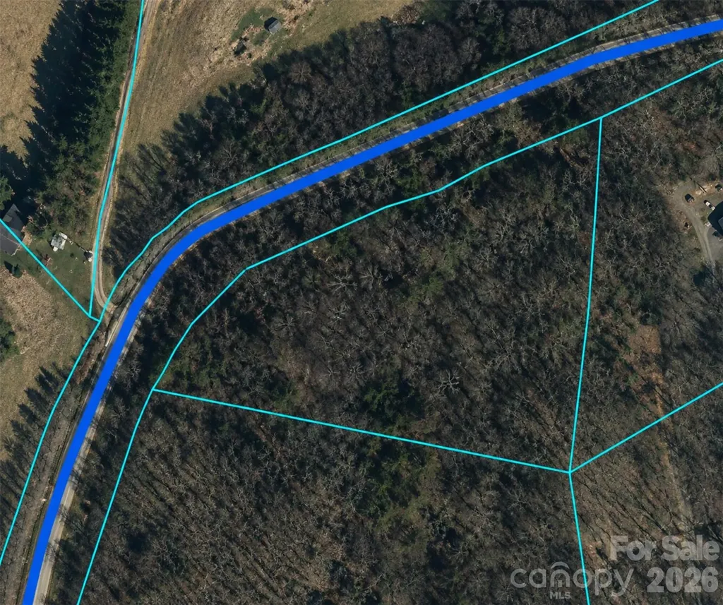 0 Clarks Branch Road Leicester NC 28748