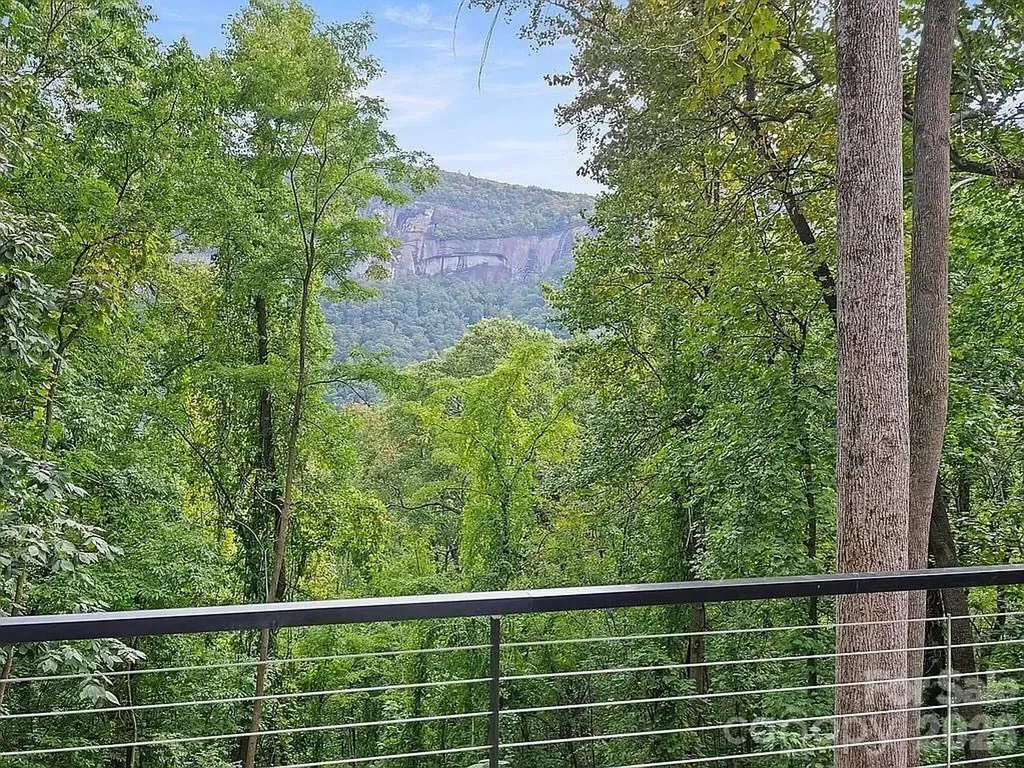 384 Cascada Vista Drive Chimney Rock NC 28720