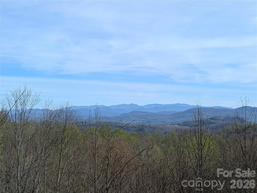 122 Birchwood Drive Hendersonville NC 28739