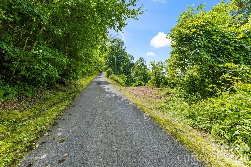 LOT#36 Fern Brook Drive Waynesville NC 28786