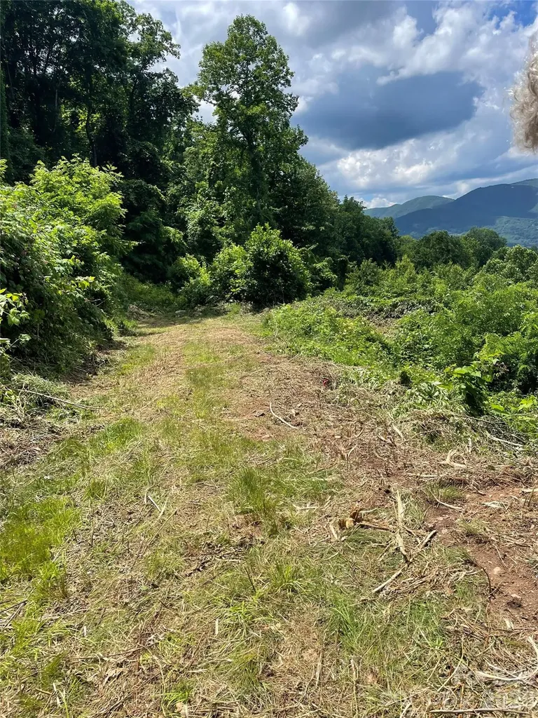 LOT#36 Fern Brook Drive Waynesville NC 28786