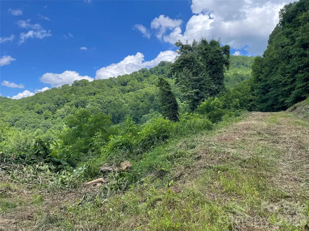 LOT#36 Fern Brook Drive Waynesville NC 28786