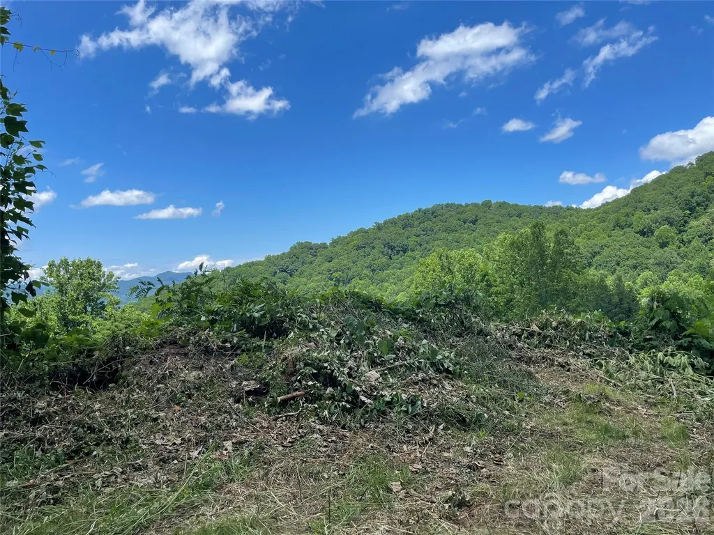 LOT#36 Fern Brook Drive Waynesville NC 28786