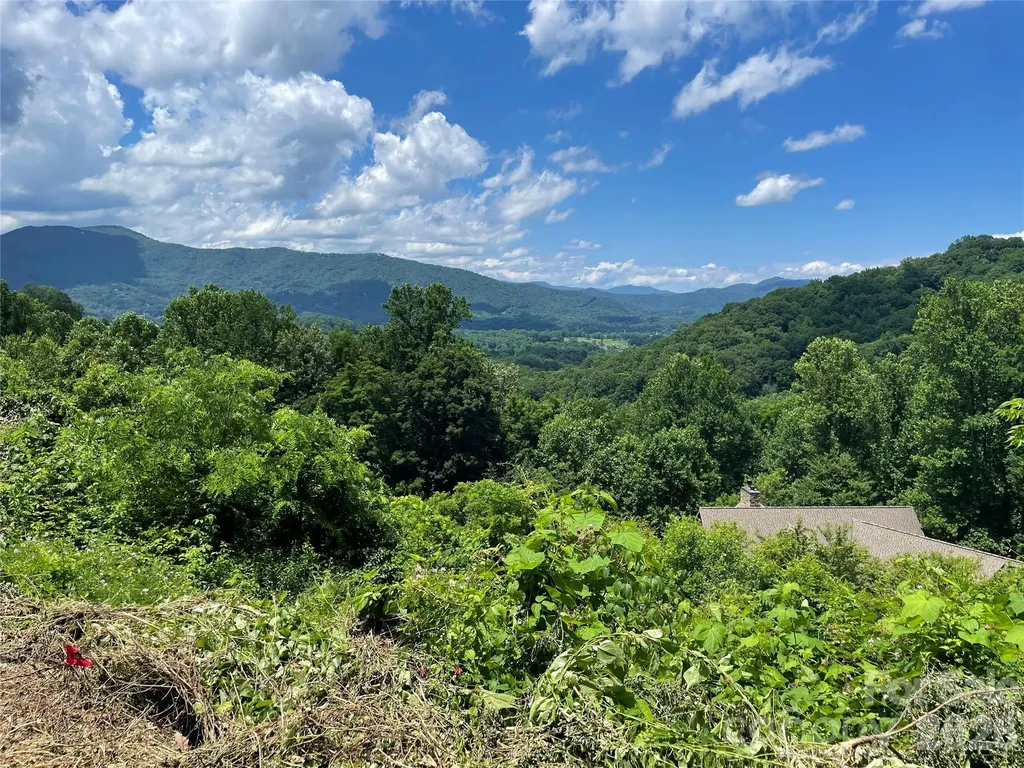 LOT#36 Fern Brook Drive Waynesville NC 28786